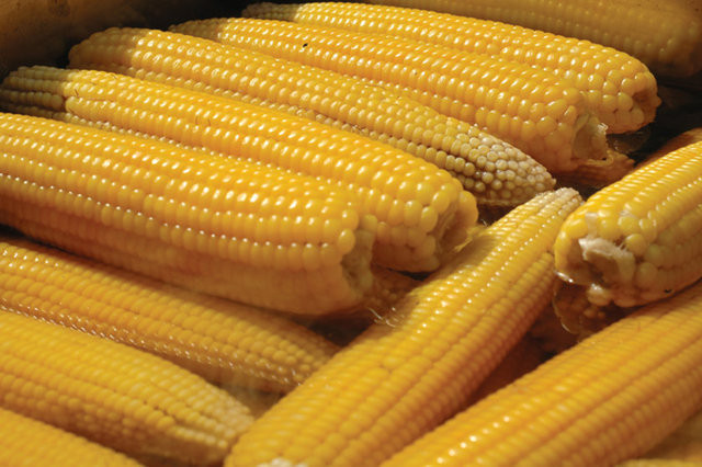 Mısır nelere iyi gelir? - Resim: 3