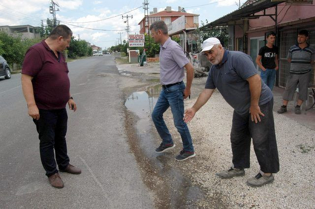 3 günde her yeri istila ettiler! Hangi tür oldukları tespit edilemiyor - Resim: 1