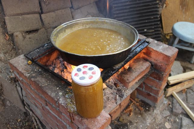 Sivas'ta doğada kendiliğinden yetişiyor! Bin bir derde deva oluyor - Resim: 2