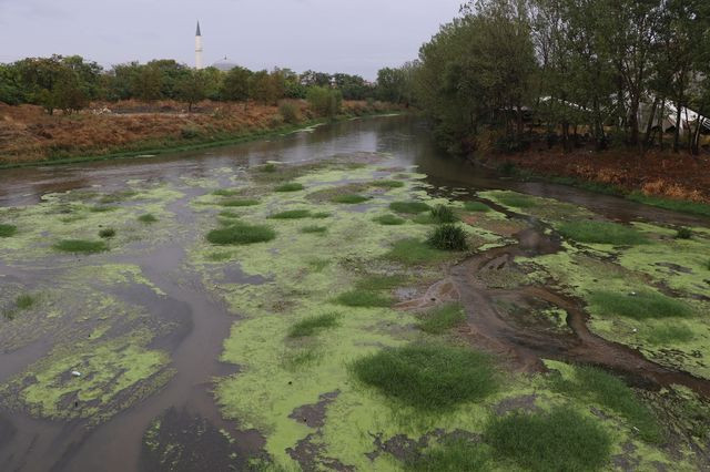 Edirne'de korkutan görüntü! Gören bir daha bakıyor - Resim: 4