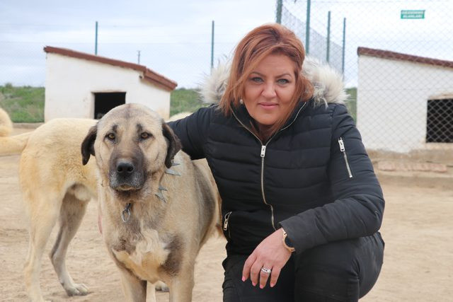 Dünyayı gezdi sadece  Sivas'ta buldu - Resim: 1