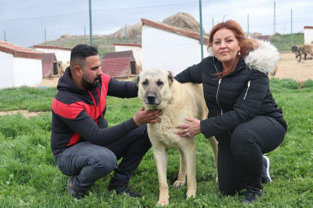 Dünyayı gezdi sadece  Sivas'ta buldu - Resim: 0