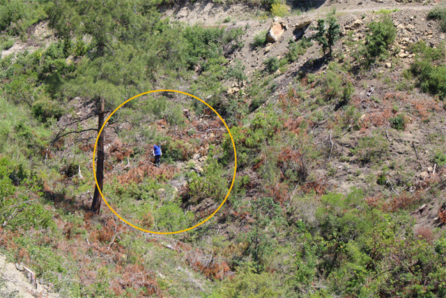 Ecrin bebek bulundu mu? Cesedi parça parça edilmiş işte son durum - Resim: 0