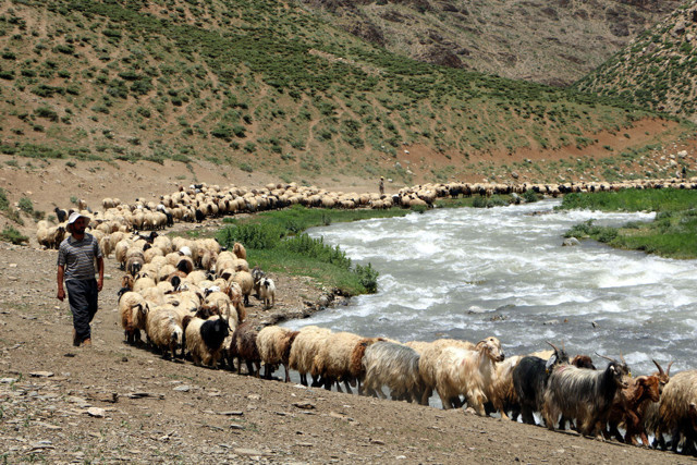 Üniversiteden mezun oldu ama atanamayınca bu işi yapmaya başladı - Resim: 1
