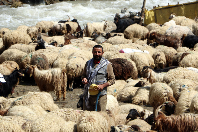 Üniversiteden mezun oldu ama atanamayınca bu işi yapmaya başladı - Resim: 0