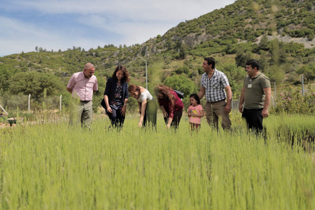 Muğlalı çiftçiye alım garantili “süs bitkisi” desteği - Resim: 1