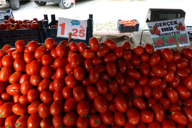 Adana karpuzu 20 kuruşa domates fiyatı 50 kuruşa indi - Resim: 0