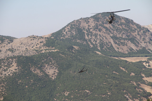 İki uzman çavuşumuzun kanı yerde kalmadı! PKK'lı Botan paketlendi - Resim: 0