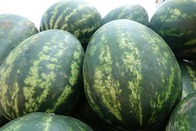 Doğu Karadeniz'den Rusya'ya 70,5 milyon dolarlık yaş meyve sebze ürünü ihraç edildi - Resim: 1