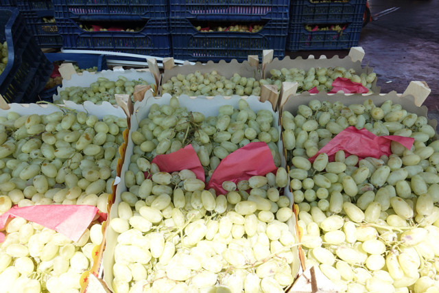 Doğu Karadeniz'den Rusya'ya 70,5 milyon dolarlık yaş meyve sebze ürünü ihraç edildi - Resim: 0