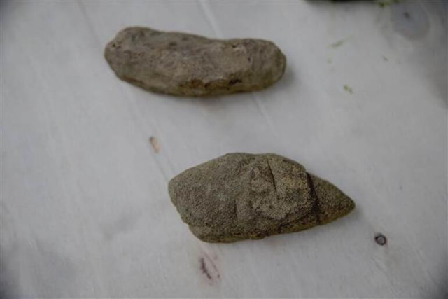 Beykoz'da aynı bölgede bulundu! İstanbul'un tarih öncesi dönemine ışık tutacak - Resim: 0