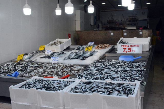 Bu sene palamuttan hayır yok hamsi için yılbaşına kadar vaktiniz var - Resim: 0