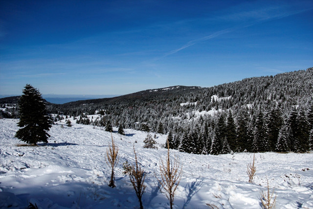 Uludağ'da 2 dağcı kayboldu - Resim: 0