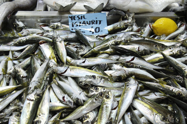 Çanakkale'de balıkçıların yüzü güldü tüketim iki kat arttı - Resim: 0