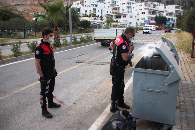 Muğla'da köpeği av tüfeğiyle öldürdü sebebi sen nasıl insansın dedirtti - Resim: 0