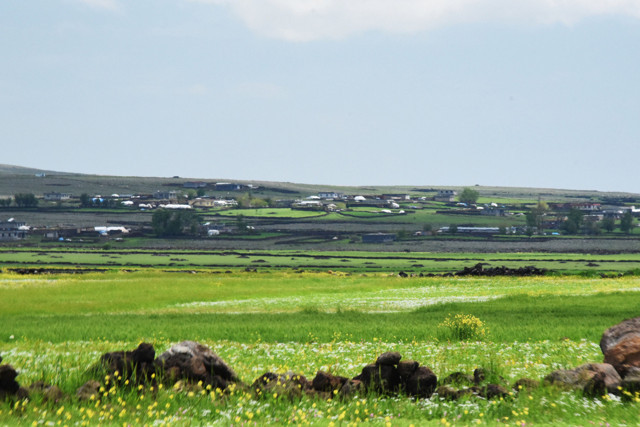 İstanbul'da koronavirüs testi gelmeden memleketine gitti üstüne birde sonuç pozitif geldi - Resim: 2