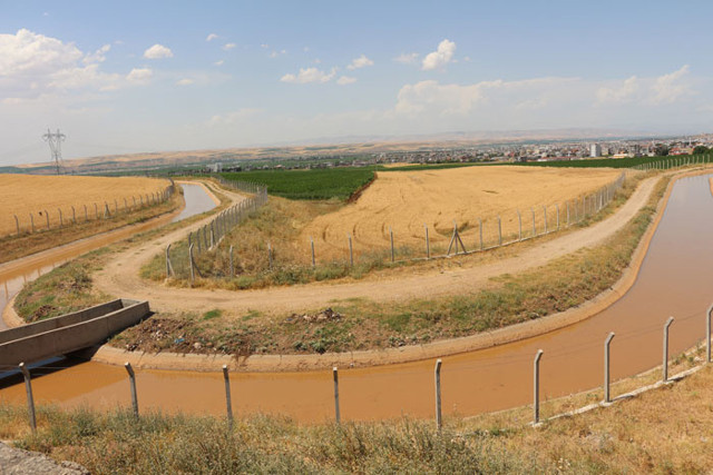 Batman Valisi Hulus Şahin'den vahşi sulama yöntemine tepki: Su bedava gelmiyor - Resim: 1