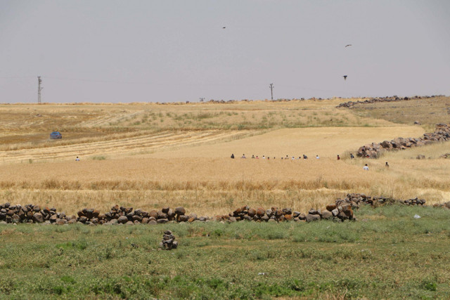 Şanlıurfa'da iki aile arasında çıkan kavga ölümle sonlandı - Resim: 1