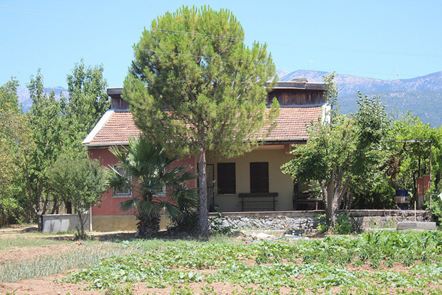 Pınar Gültekin'in cesedini yakarken komşularına "mangal yapıyorum" demiş - Resim: 0