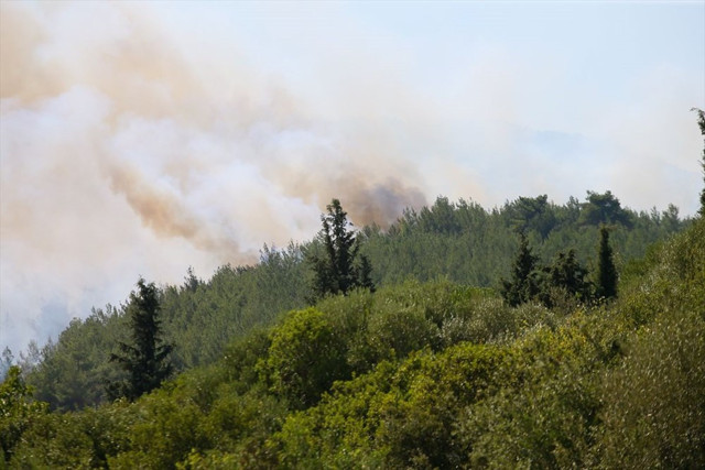 İzmir'in Menderes ilçesindeki yangında bir gözaltı - Resim: 0