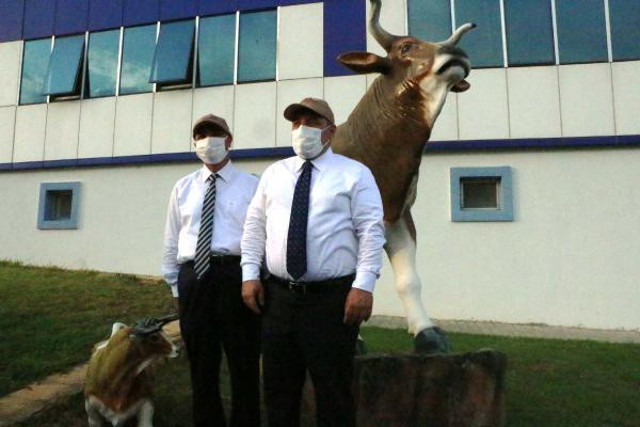 Korona aşısında son aşamaya gelindi! Bakan Mustafa Varank açıkladı - Resim: 1