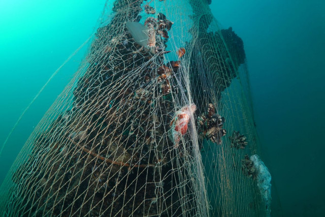 Hitler'in kayıp denizaltısı Sakarya'da görüldü 'Hayalet ağlar'a tutunuyor! - Resim: 1