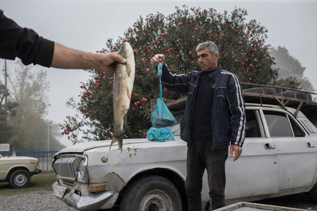 Azerbaycanlı Halilov Sovyet yapımı aracının bagajında avladığı balıkları satıyor - Resim: 0