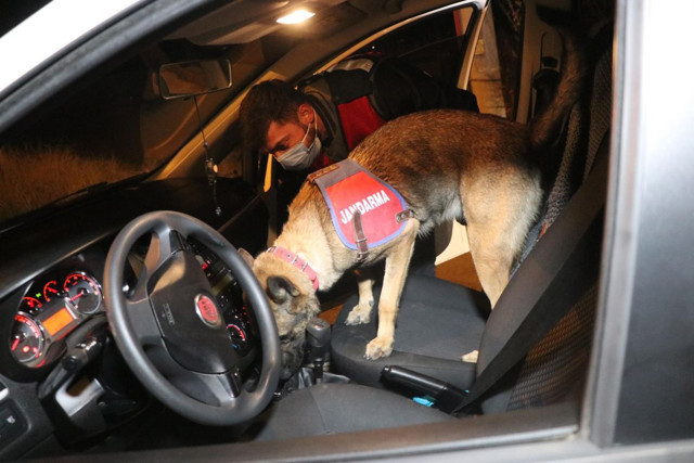 Denizli'de kalem görünümlü 50 suikast silahı ele geçirildi - Resim: 1