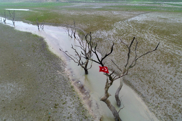 İstanbul Sazlıdere Barajı'nda tedirgin eden görüntü - Resim: 1