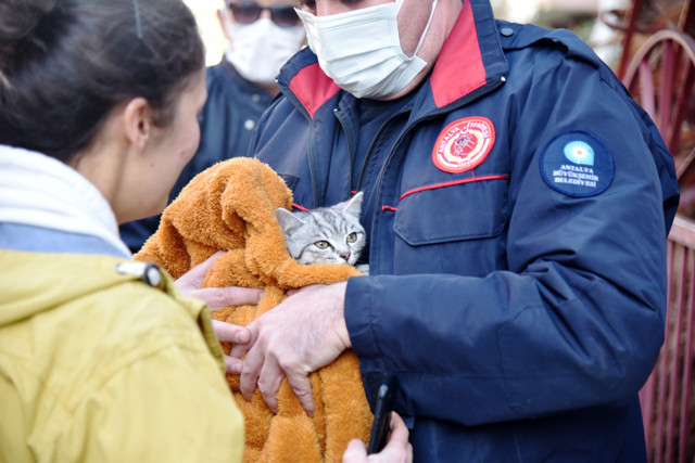 Antalya'da angında mahsur kalan kedisine kavuşan kadın gözyaşı döktü - Resim: 0