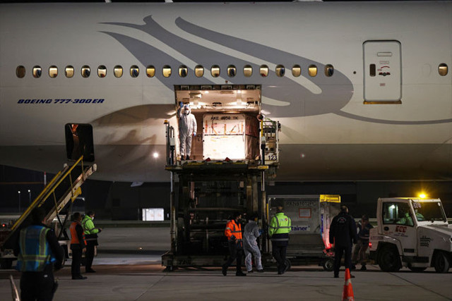 Çin'den sipariş edilen Kovid-19 aşılarının ikinci partisini taşıyan uçak Türkiye'ye geldi - Resim: 0