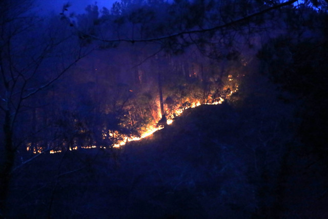 Kastamonu'da saniyelere karşı savaş! Mahalleye sıçrayan orman yangını söndürüldü - Resim: 2