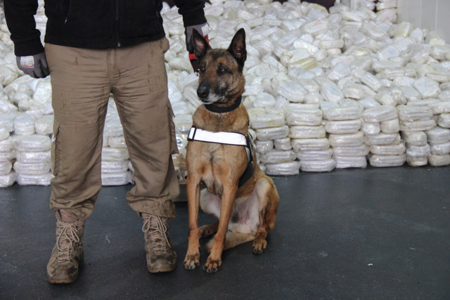 Kocaeli'de yük gemisinde 3 ton 860 kilogram esrar ele geçirildi - Resim: 0