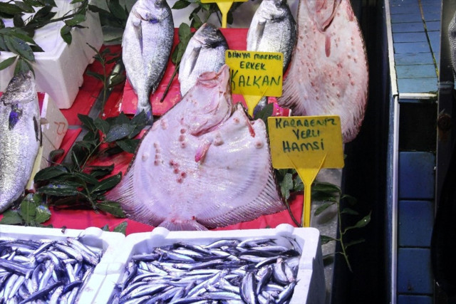 Kalkan balığı kilosu 250 liradan tezgaha giriş yaptı - Resim: 0