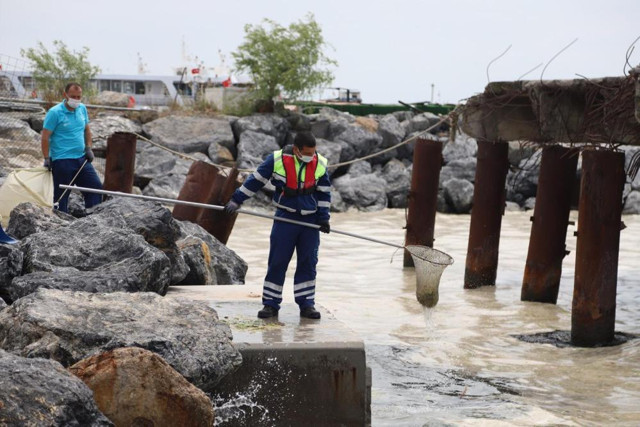 Kabus 3 aydır sürüyor! Kartal sahilleri deniz salyasından temizleniyor - Resim: 0