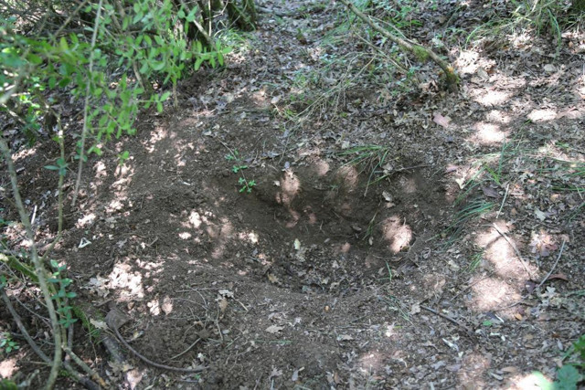Kocaeli'de karısı kaybolan adam vahşetle sarsıldı! Yeğeni öldürmüş - Resim: 1
