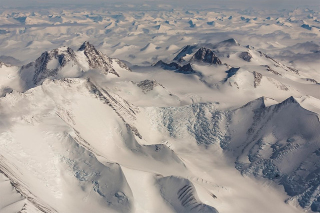 Bilim insanları dünyada keşfettiklerine inanamadı! 204 testin sonucuyla şok oldular - Resim: 0