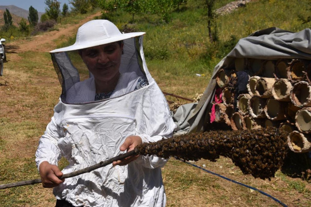40'tan 600'e çıkardı! Bitlis'te bu işi yaparak 5 çocuk okutuyor - Resim: 1