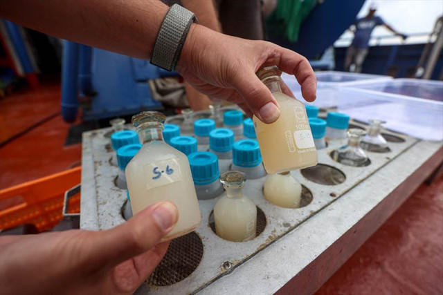 ODTÜ Marmara'da müsilajı inceledi müsilaj üzerinde yapılan ürküten sonuçlar çıktı - Resim: 1