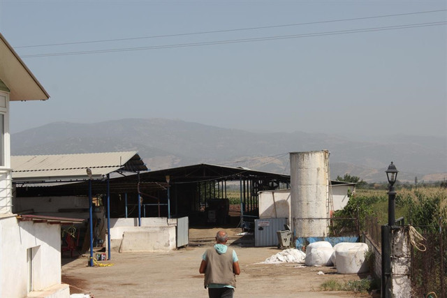İzmir'de vahşet! 5 yaşındaki çocuk yem makinesinde parçalanmış bulundu! Dede gözaltında - Resim: 0
