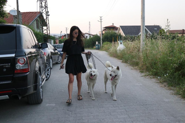 Sakarya'da parçalanmış cesetlerin sırrı çözülüyor! Göğsündeki silikonların seri numaraları... - Resim: 0