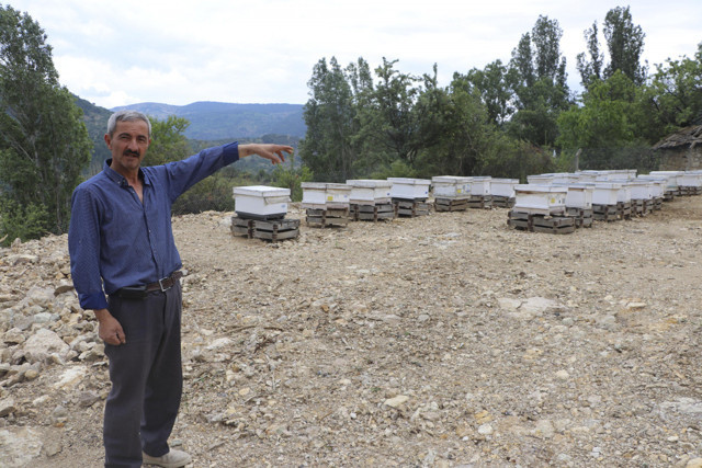 Ankara'da kızına yapılan zoruna gitti damadının arı kovanlarını parçaladı - Resim: 1
