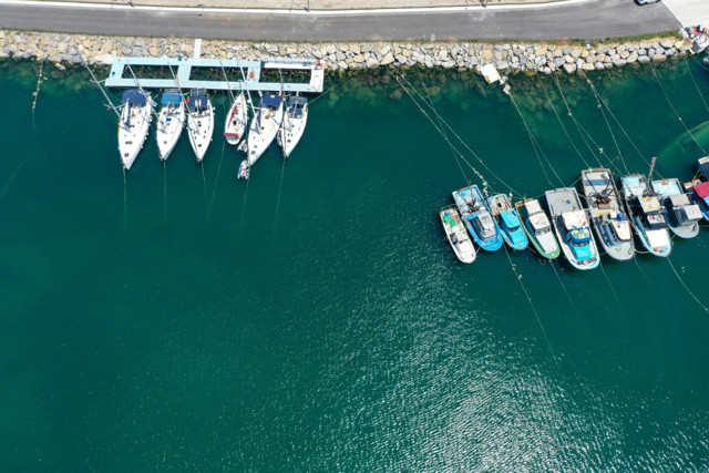 Emine Erdoğan "Görmek mutlu ediyor" deyip bu fotoğrafı paylaştı - Resim: 0