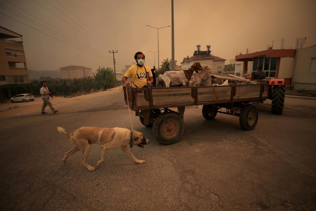 Antalya Manavgat'ta çıkan orman yangınına müdahale ediliyor - Resim: 1