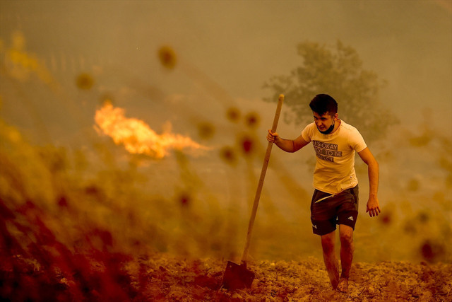 Antalya Manavgat yangınında son durum! Ölü sayısı arttı kötü haberler geliyor - Resim: 1
