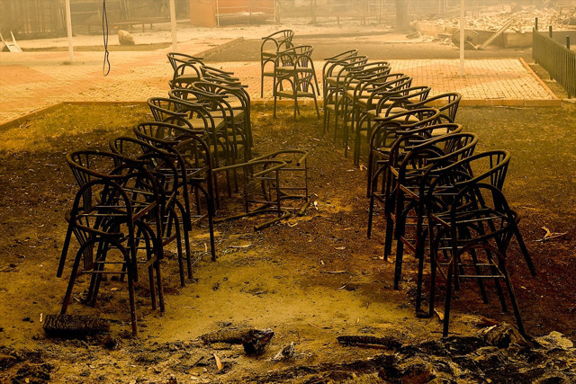 Antalya Manavgat yangınında son durum! Ölü sayısı arttı kötü haberler geliyor - Resim: 4