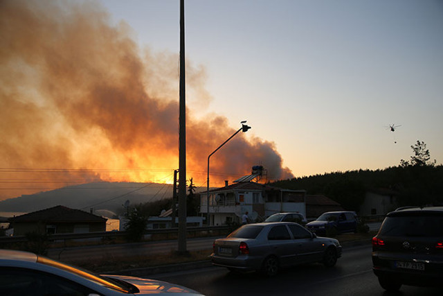 Bodrum'da ciğerler yandı! 80 hektar orman küle döndü Alevler 5 yıldızlı lüks oteli sardı - Resim: 2
