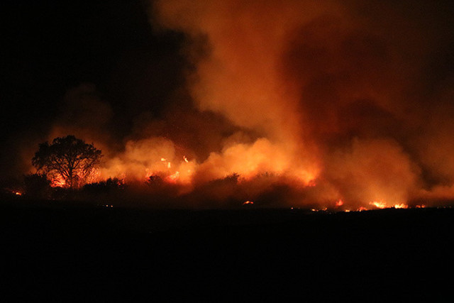  Anız yangını rüzgarın etkisiyle devasa boyuta ulaştı! Ekili alanlar zarar gördü - Resim: 0