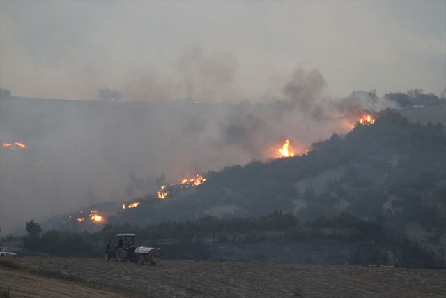 Manavgat, Köyceğiz, Çökertme orman yangınlarında son durum haberler kötü - Resim: 0