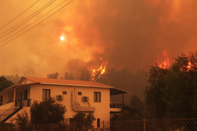 Bodrum yangınında son durum! Belediye Başkanı Ahmet Aras açıkladı - Resim: 3